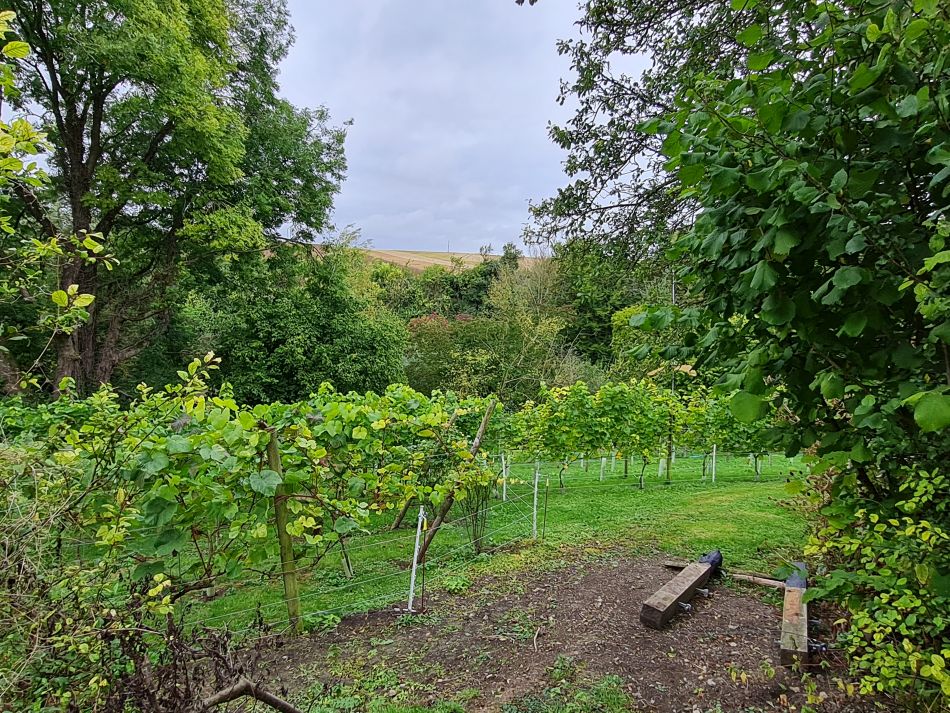 2021-09-30 08 Wantage and Letcombe Regis.jpg