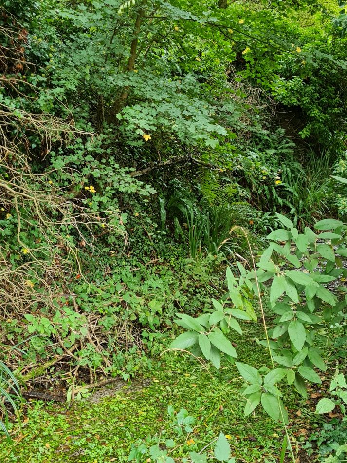 2021-09-30 09 Wantage and Letcombe Regis.jpg