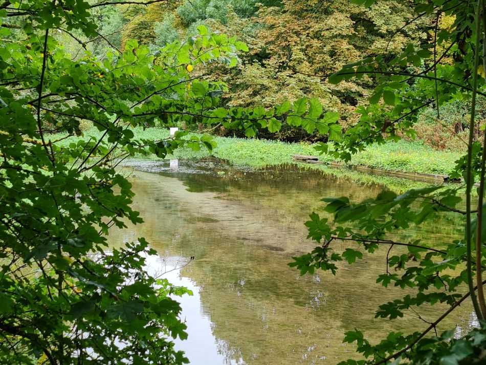 2021-09-30 10 Wantage and Letcombe Regis.jpg