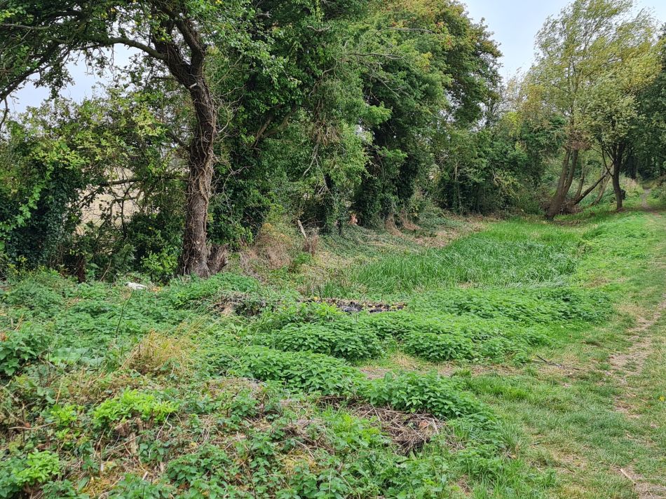 2021-09-30 15 Wantage and Letcombe Regis.jpg