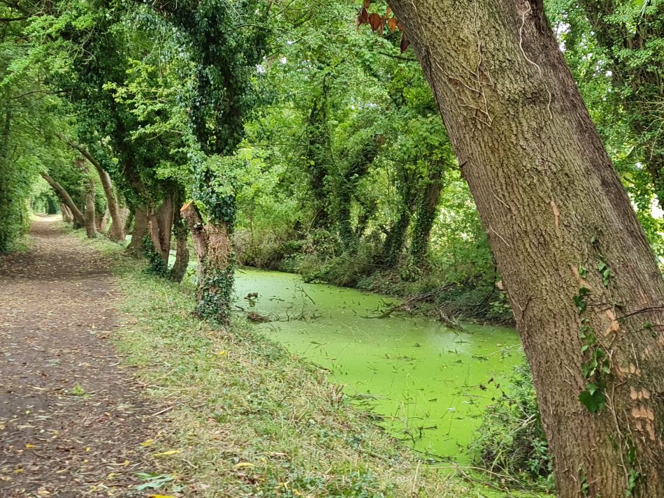 2021-09-30 19 Wantage and Letcombe Regis.jpg