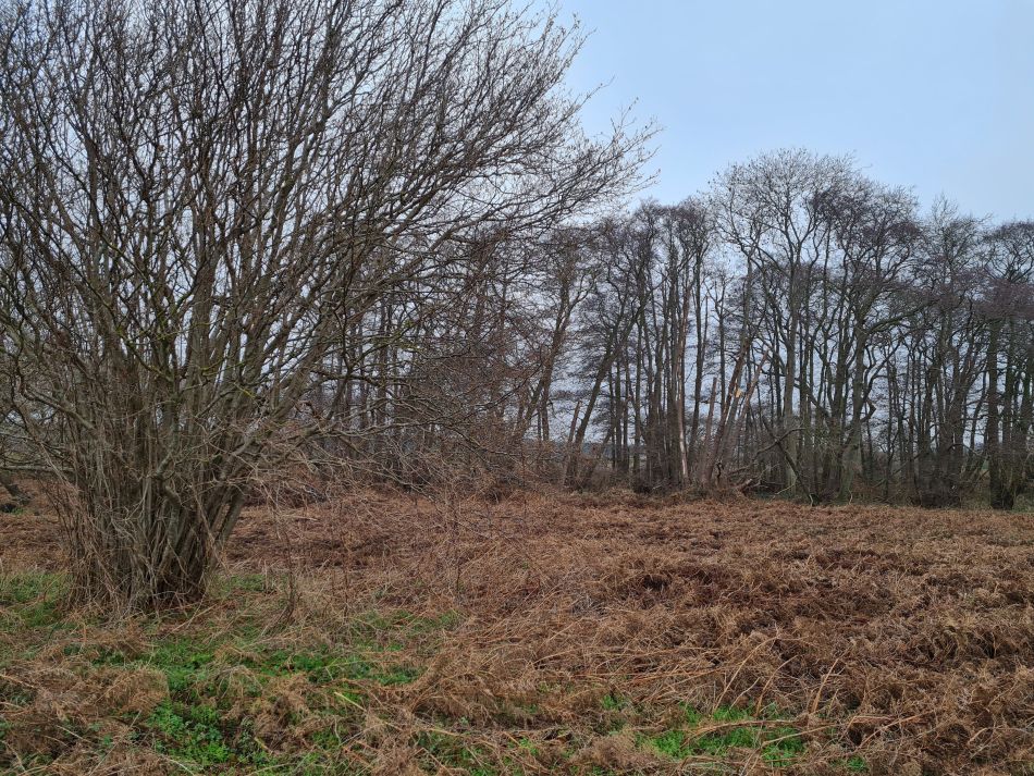 2020-10-02 02 Boyton.jpg