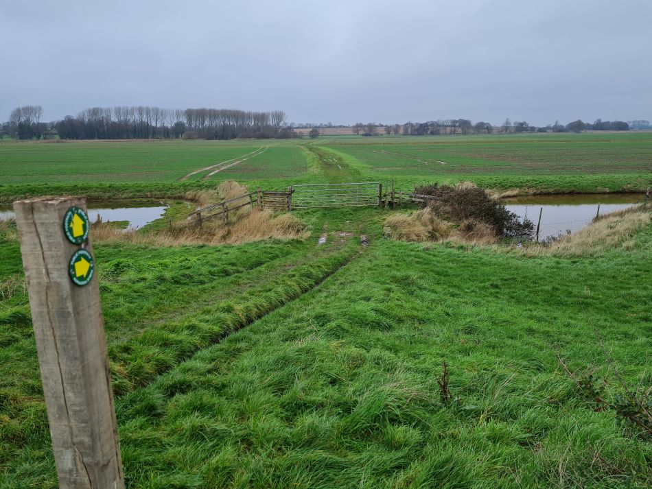 2020-10-02 04 Boyton.jpg