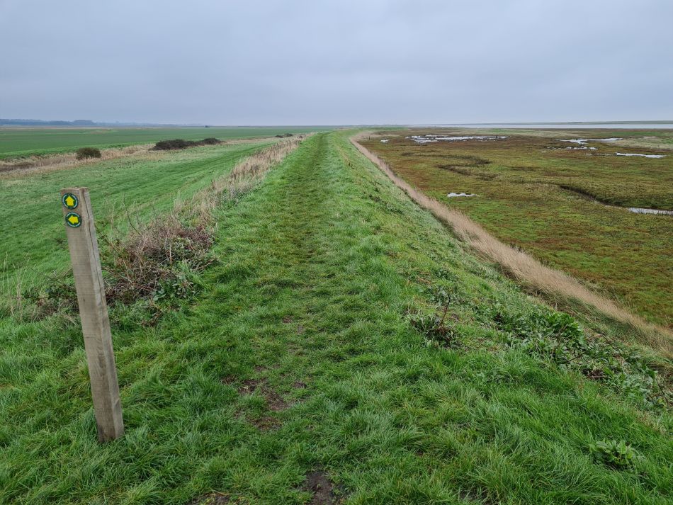 2020-10-02 06 Boyton.jpg