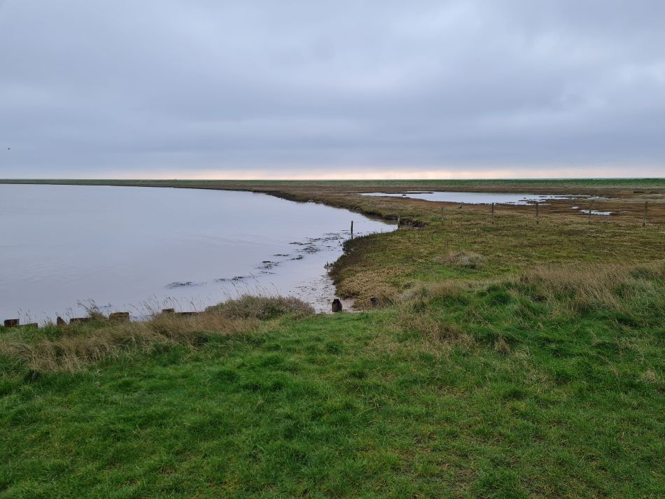 2020-10-02 09 Boyton.jpg