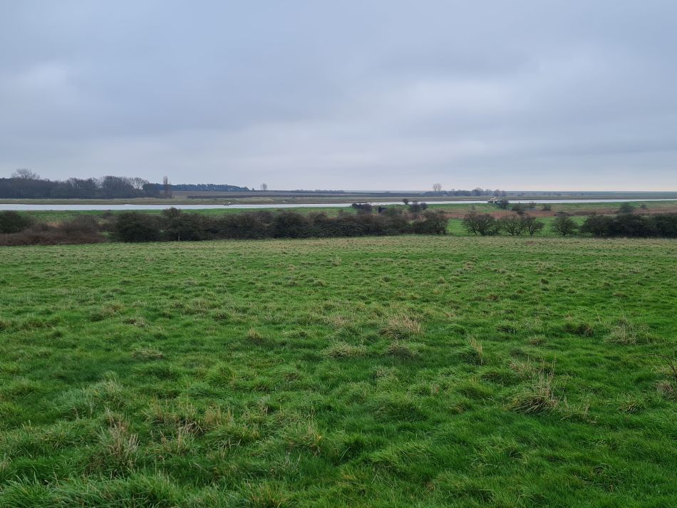 2020-10-02 14 Boyton.jpg