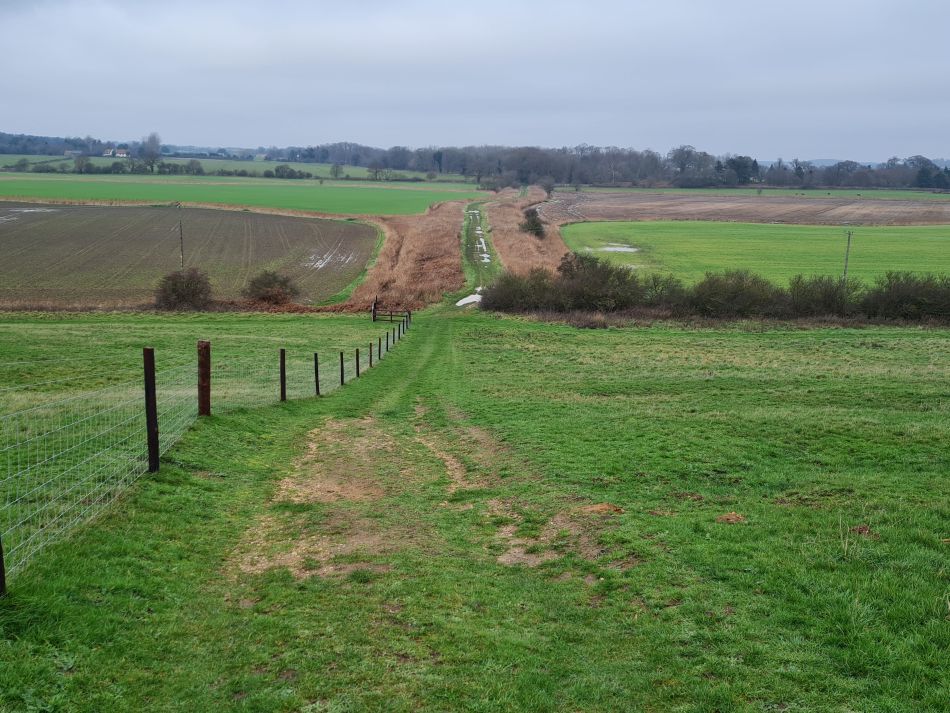 2020-10-02 15 Boyton.jpg