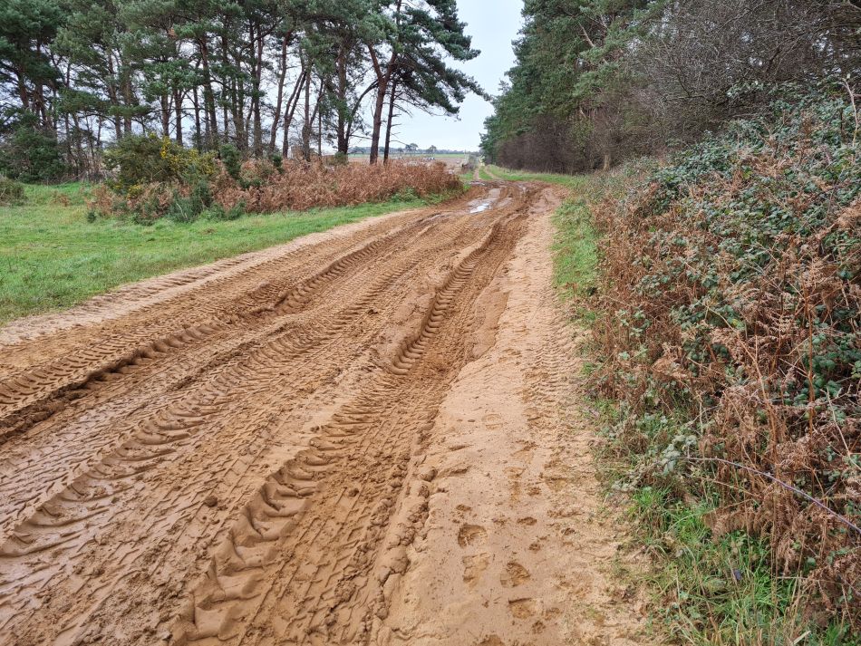 2020-10-03 01 Chillesford.jpg