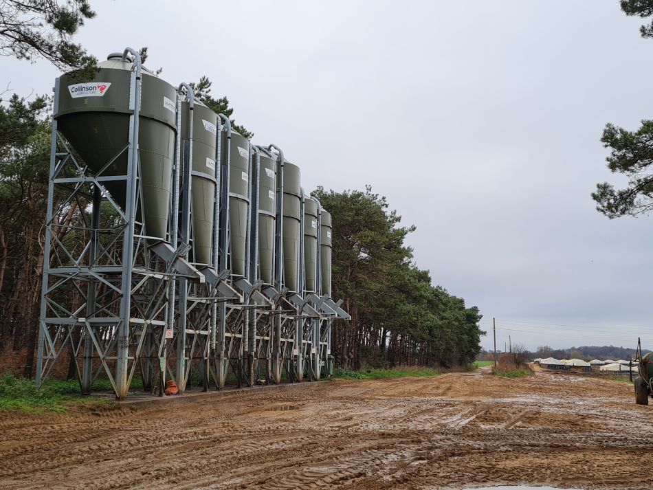 2020-10-03 05 Chillesford.jpg