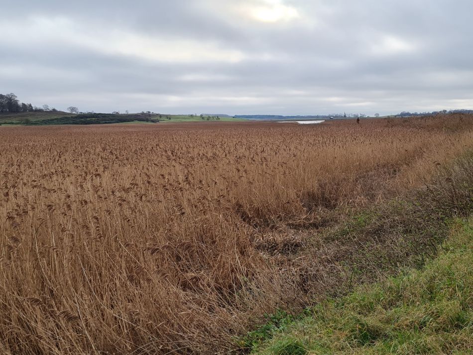 2020-10-03 06 Chillesford.jpg