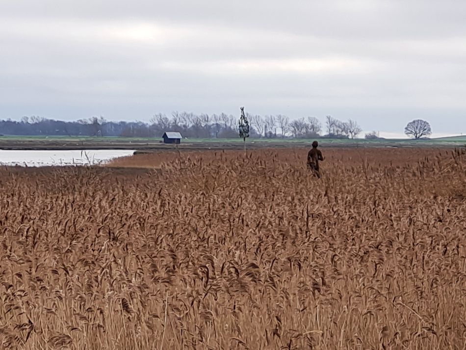 2020-10-03 07 Chillesford.jpg