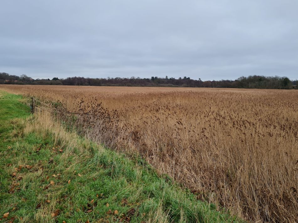 2020-10-03 09 Chillesford.jpg