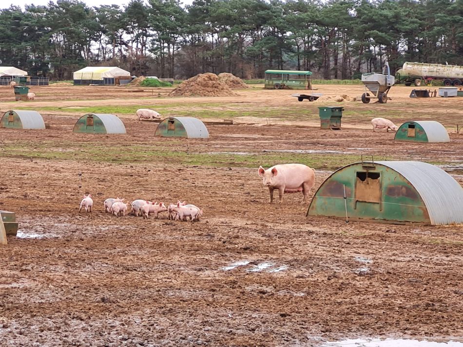 2020-10-03 19 Chillesford.jpg