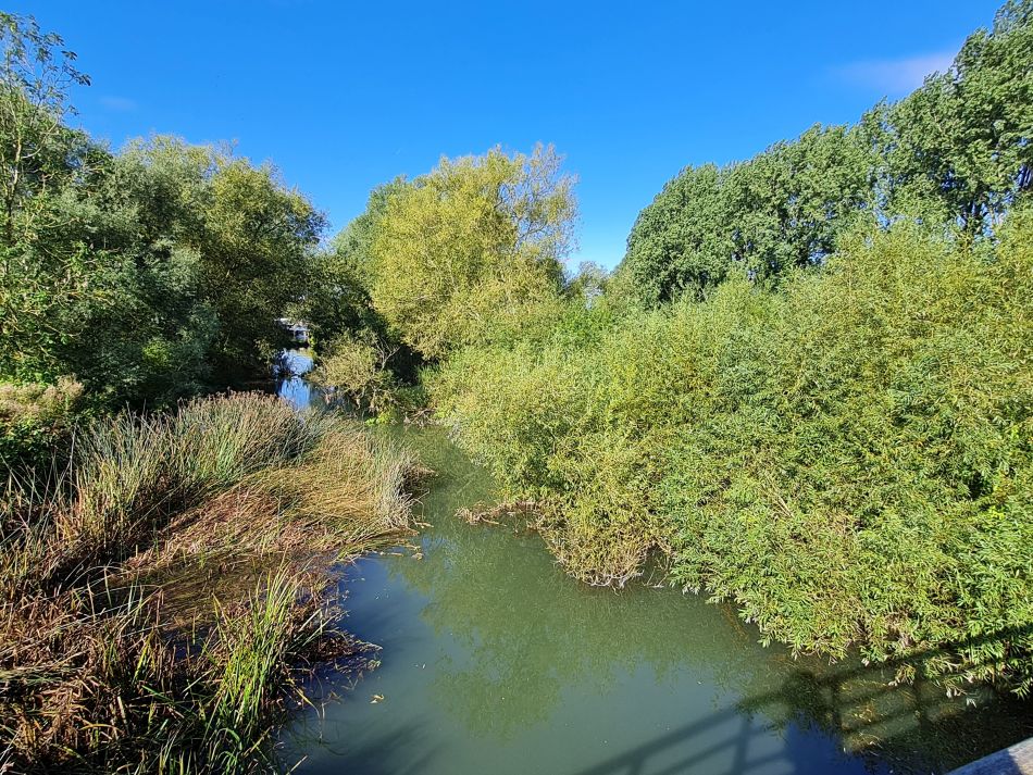 2021-09-24 09 Buscot to Kelmscott.jpg