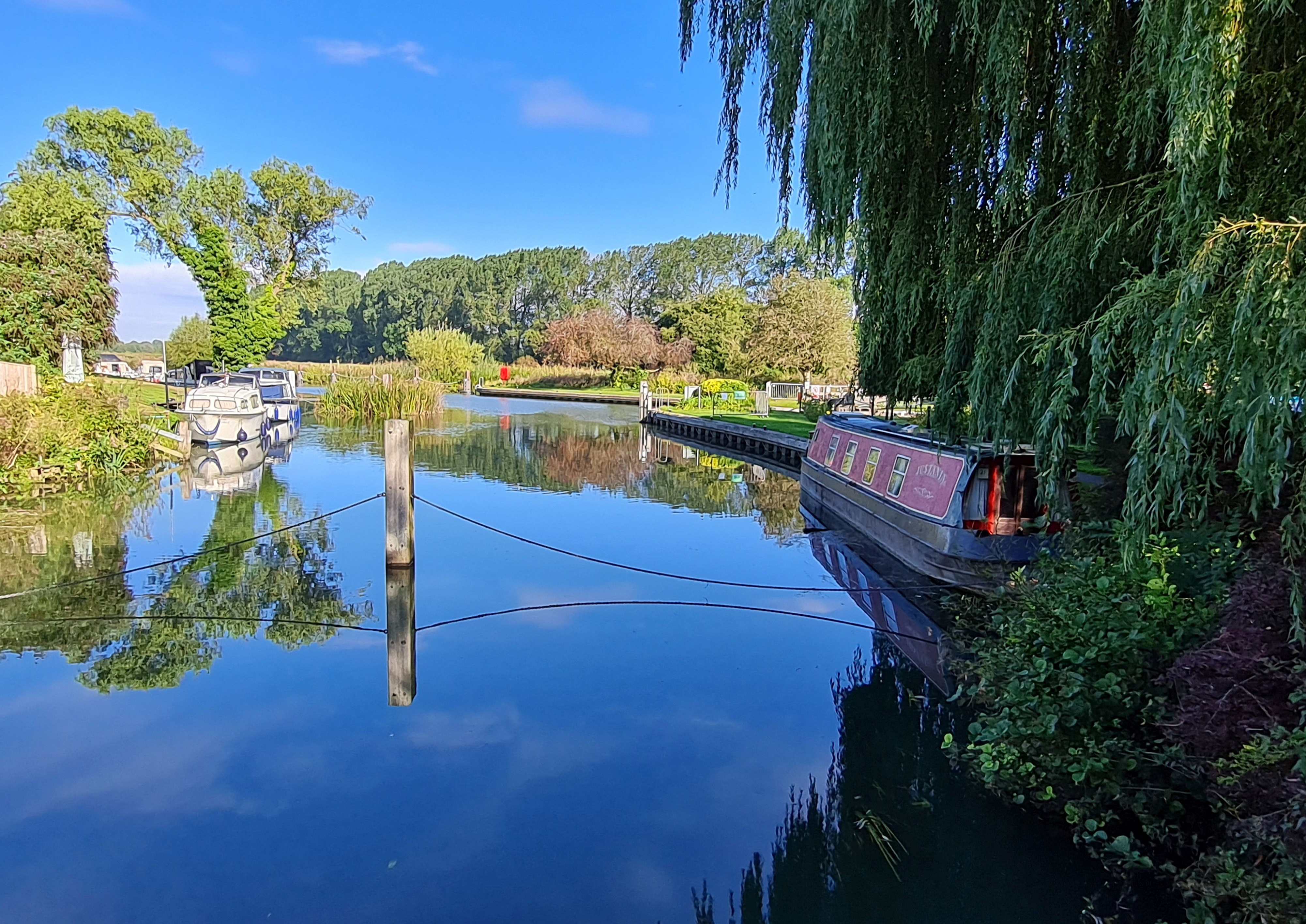 2021-09-29 98 Image.jpg