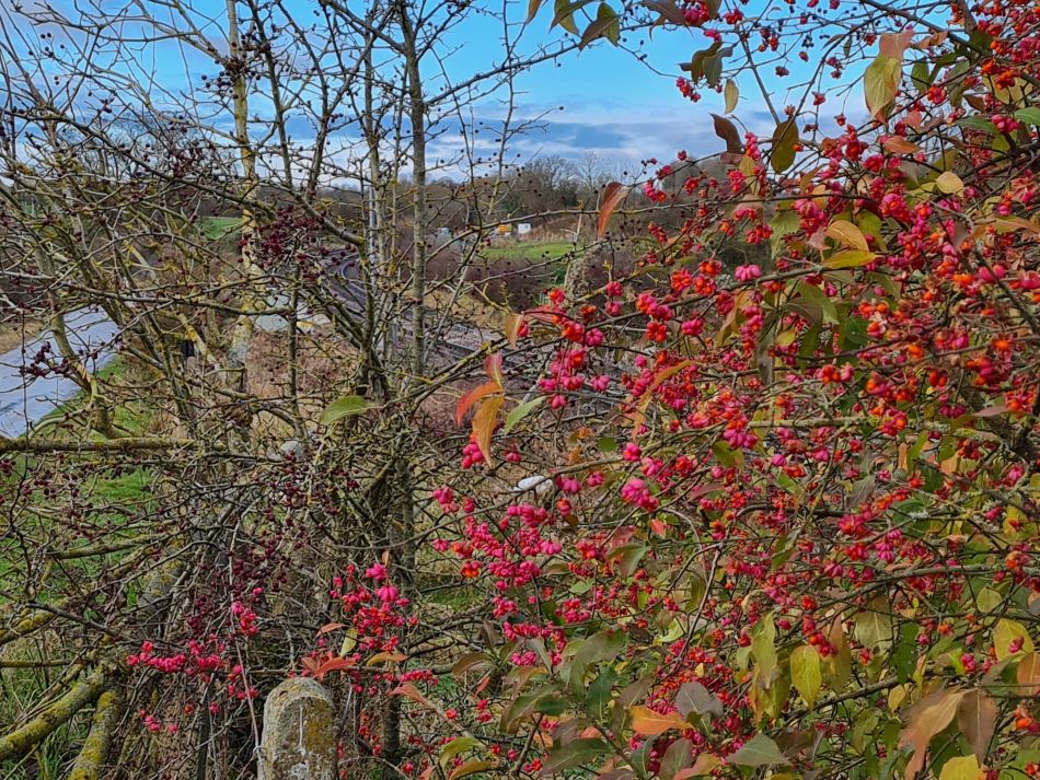 2021-11-26 20 Great Bedwyn and Crofton.jpg