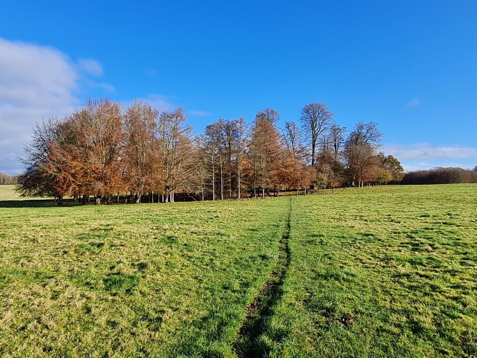 2021-11-26 37 Great Bedwyn and Crofton.jpg