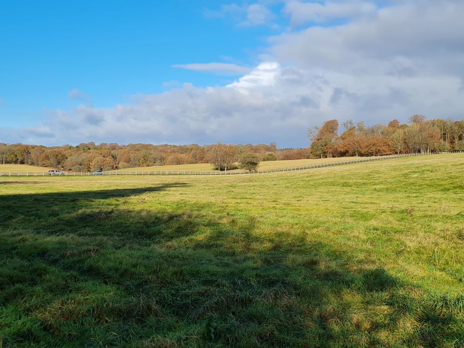 2021-11-26 40 Great Bedwyn and Crofton.jpg