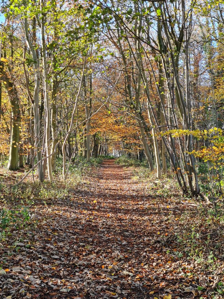 2021-11-26 41 Great Bedwyn and Crofton.jpg