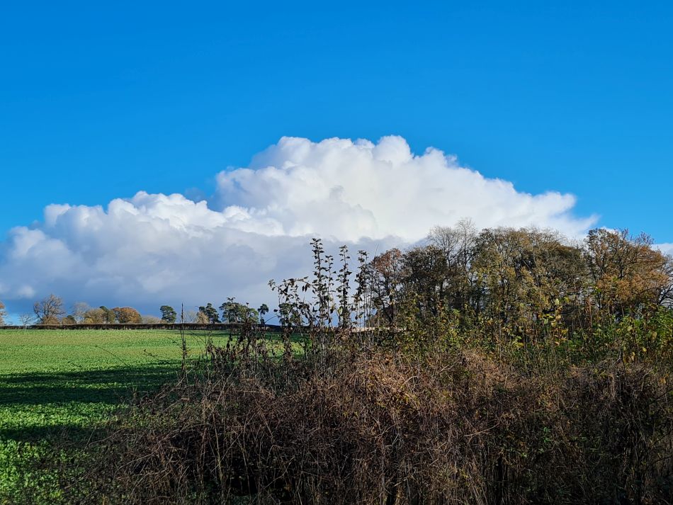 2021-11-26 48 Great Bedwyn and Crofton.jpg