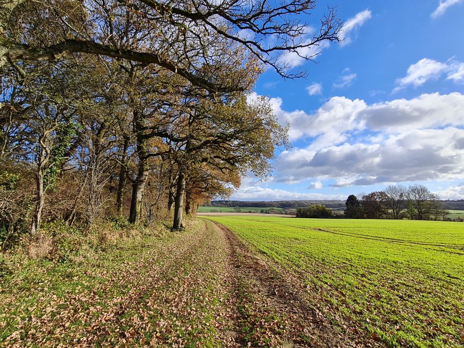 2021-11-26 51 Great Bedwyn and Crofton.jpg