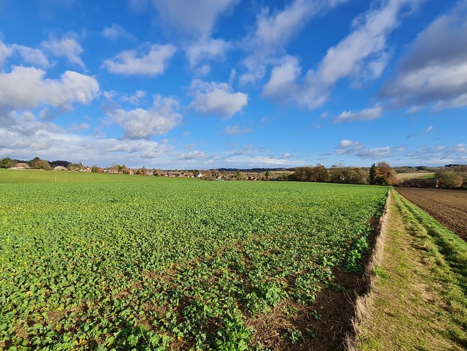 2021-11-26 52 Great Bedwyn and Crofton.jpg