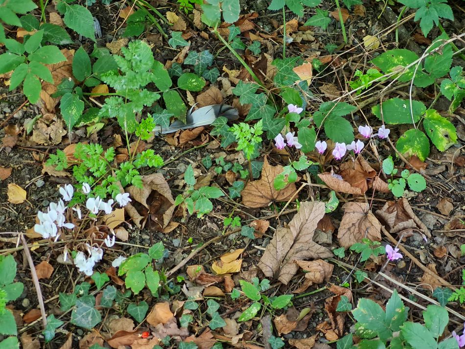 2022-09-17 49 Great Bedwyn.jpg