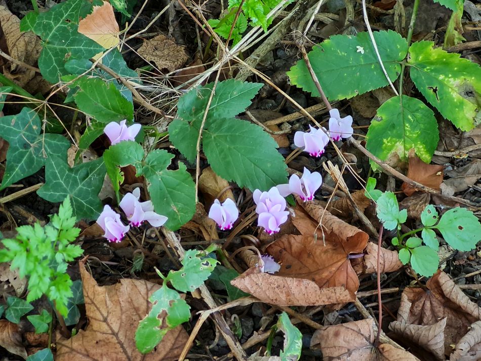 2022-09-17 51 Great Bedwyn.jpg