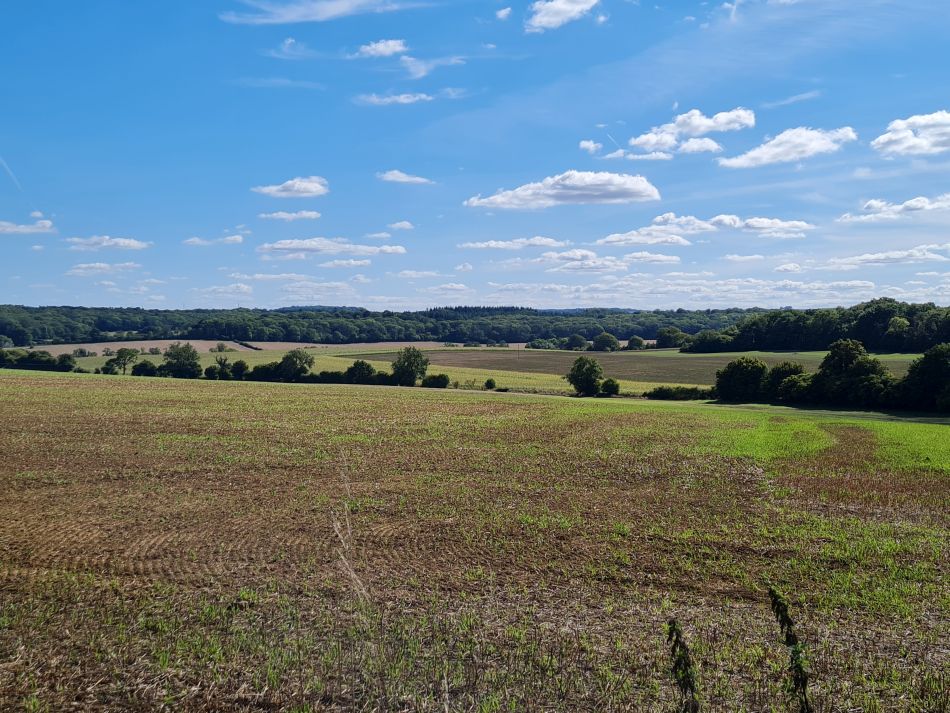 2022-09-17 52 Great Bedwyn.jpg