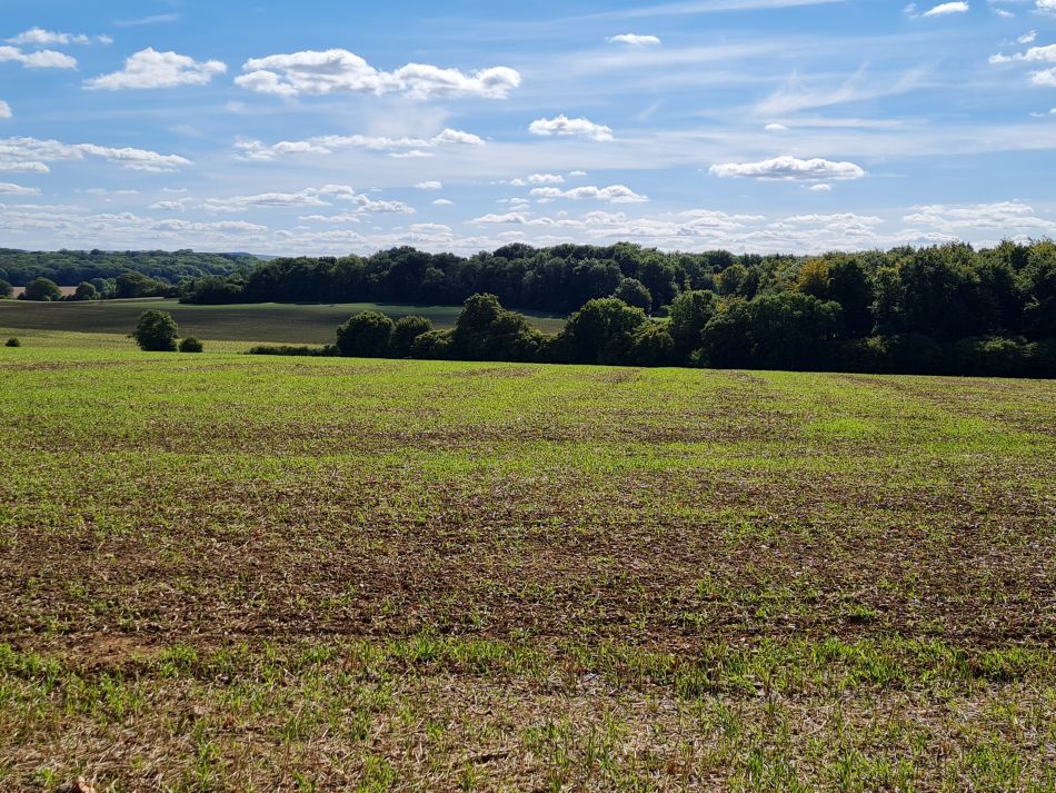 2022-09-17 53 Great Bedwyn.jpg