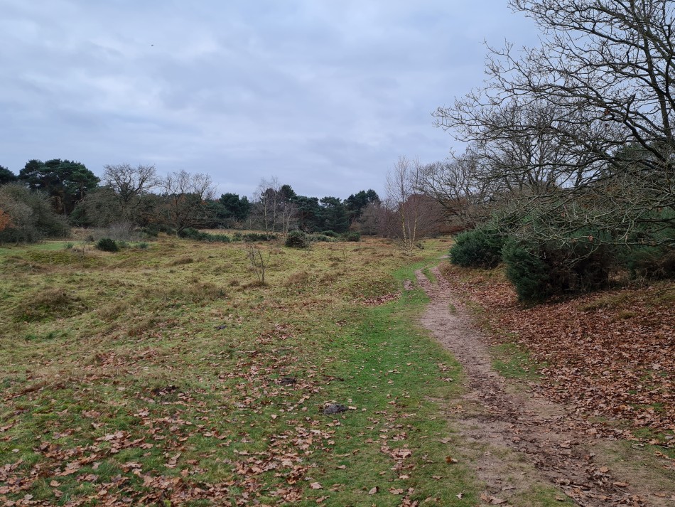 2021-12-14 02 Thetford.jpg