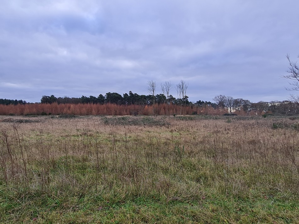 2021-12-14 05 Thetford.jpg