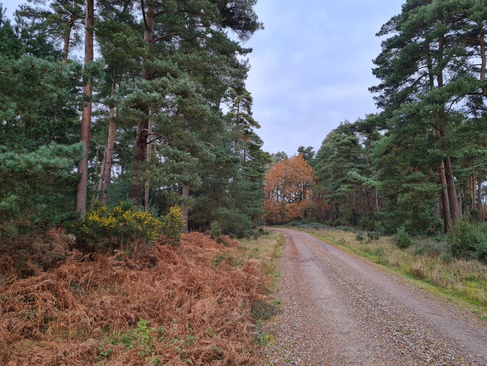 2021-12-14 06 Thetford.jpg