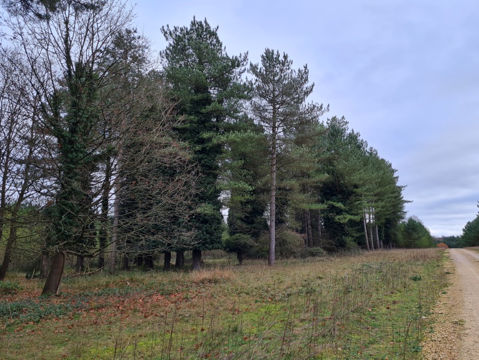 2021-12-14 07 Thetford.jpg