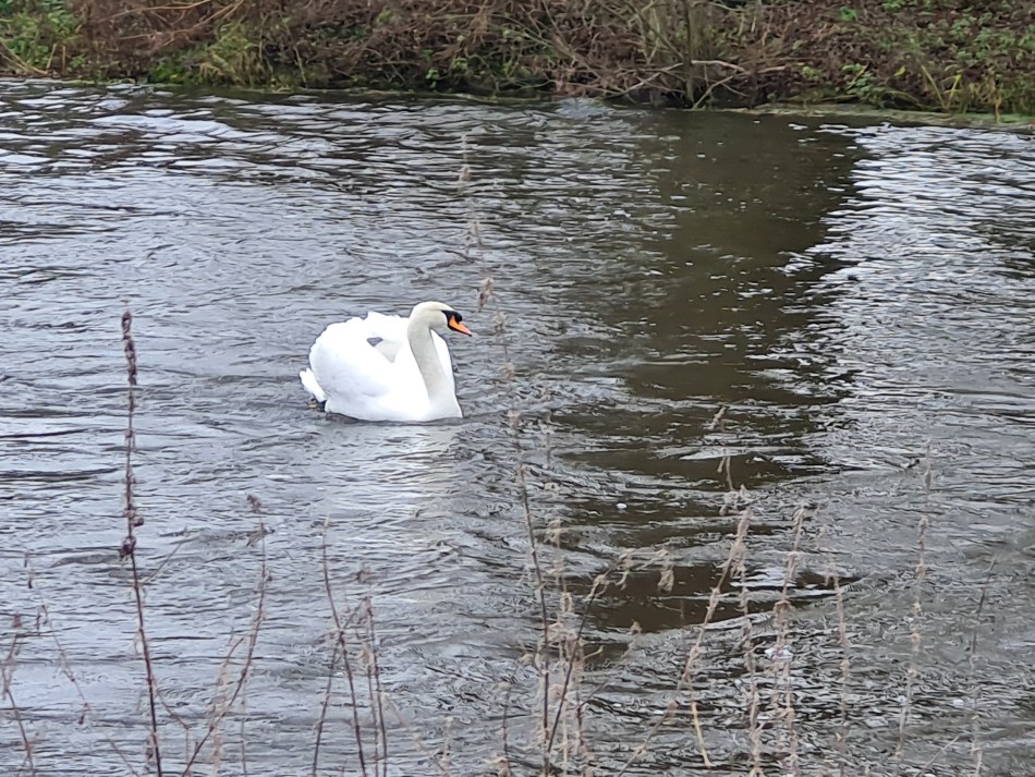 2021-12-14 12 Thetford.jpg