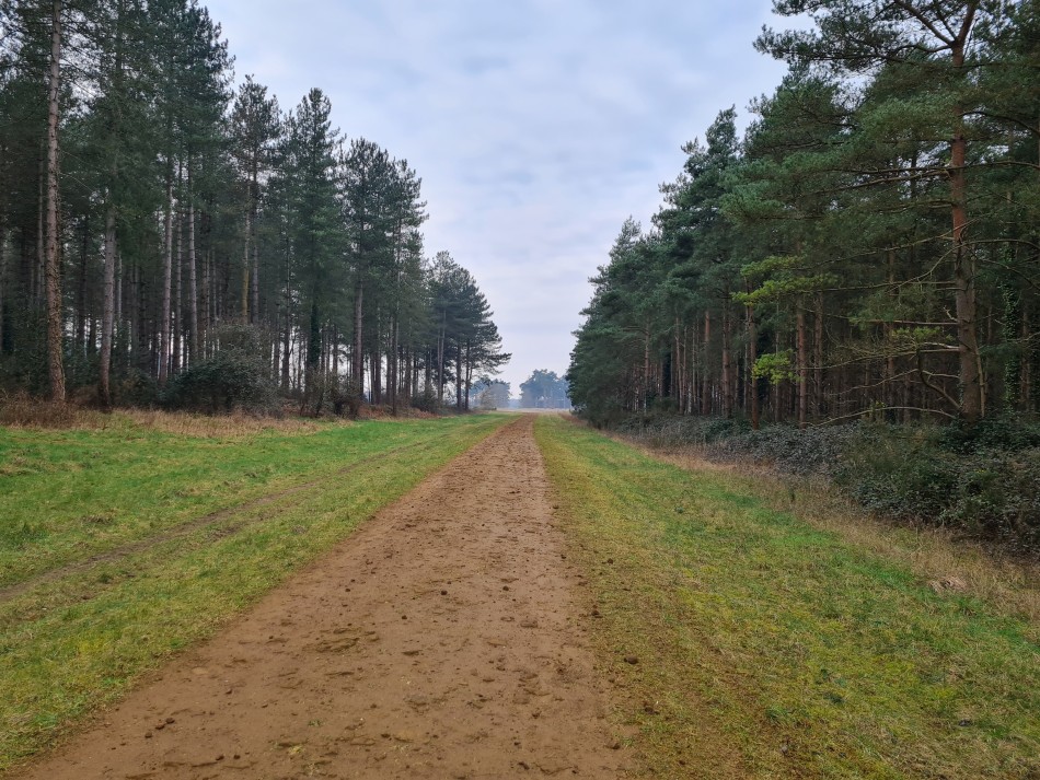 2022-03-03 01 Angles Way 1 - Thetford.jpg