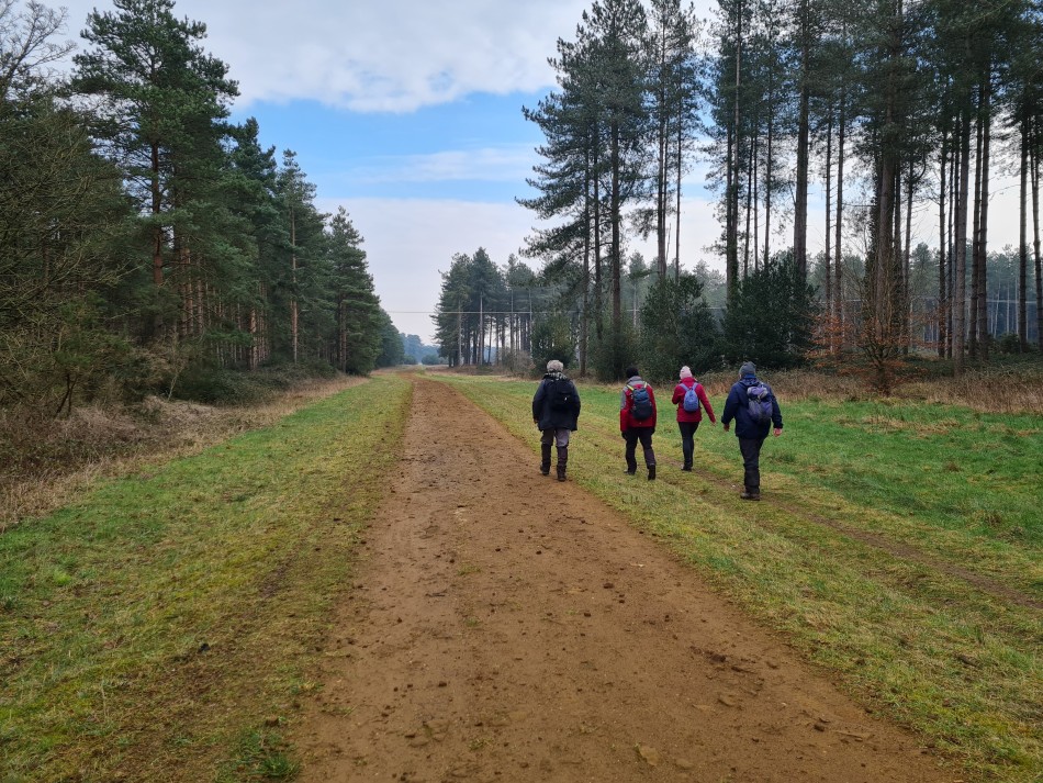 2022-03-03 02 Angles Way 1 - Thetford.jpg
