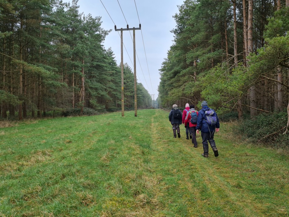 2022-03-03 03 Angles Way 1 - Thetford.jpg