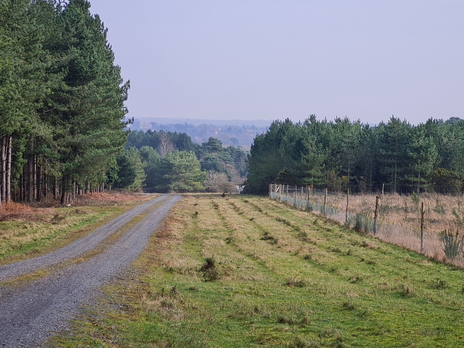 2022-03-03 06 Angles Way 1 - Thetford.jpg