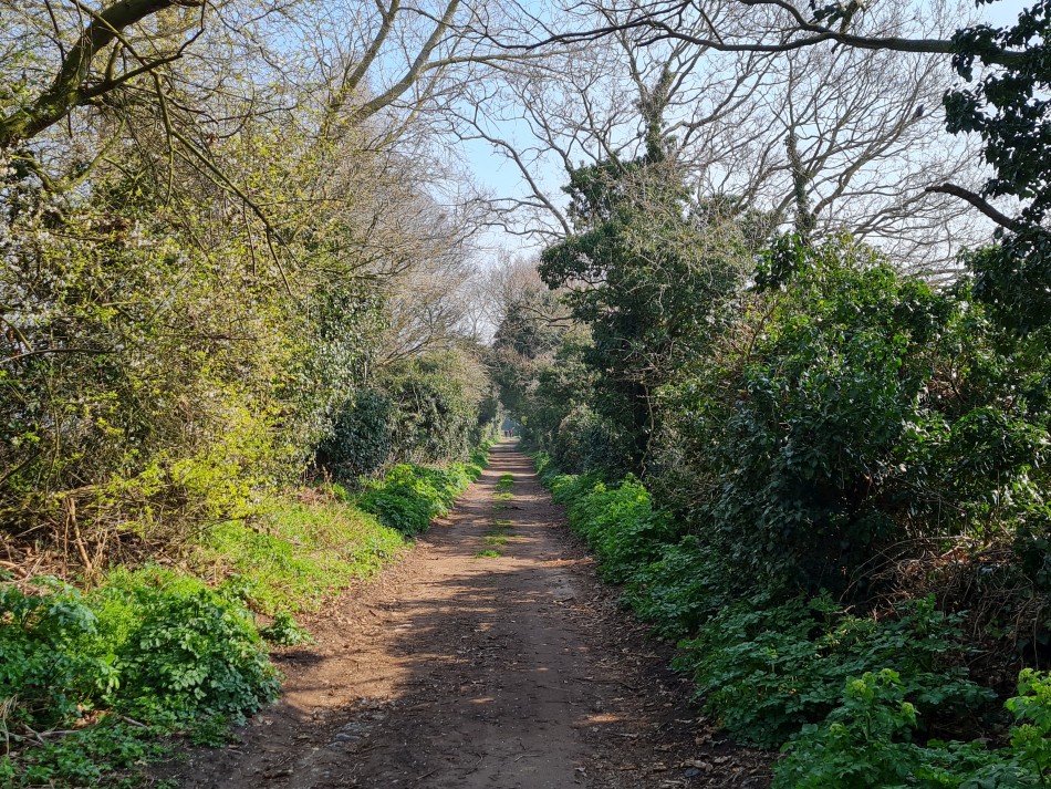 2015-06-27 19 Belton.jpg