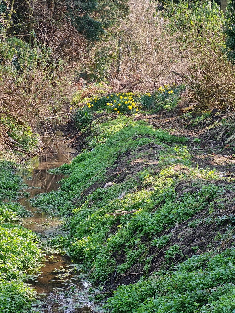 2015-06-27 23 Belton.jpg