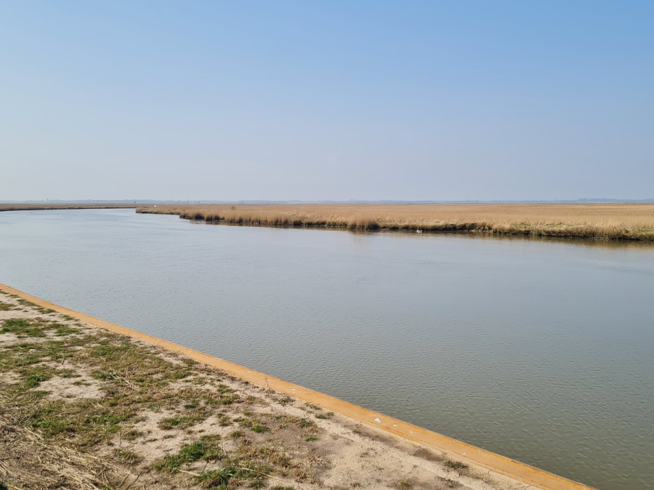 2015-06-27 25 Belton.jpg