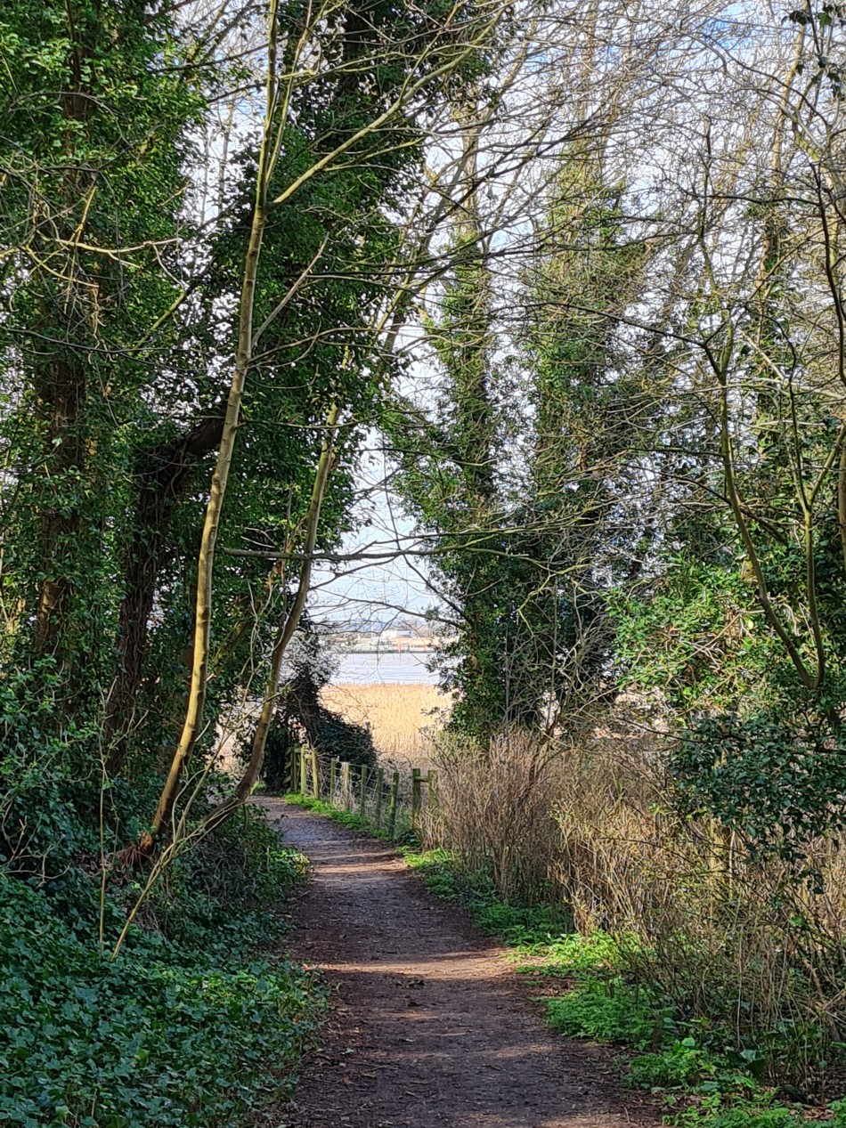 2015-06-28 10 Burgh Castle.jpg