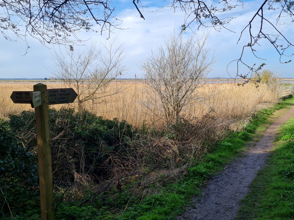 2015-06-28 11 Burgh Castle.jpg