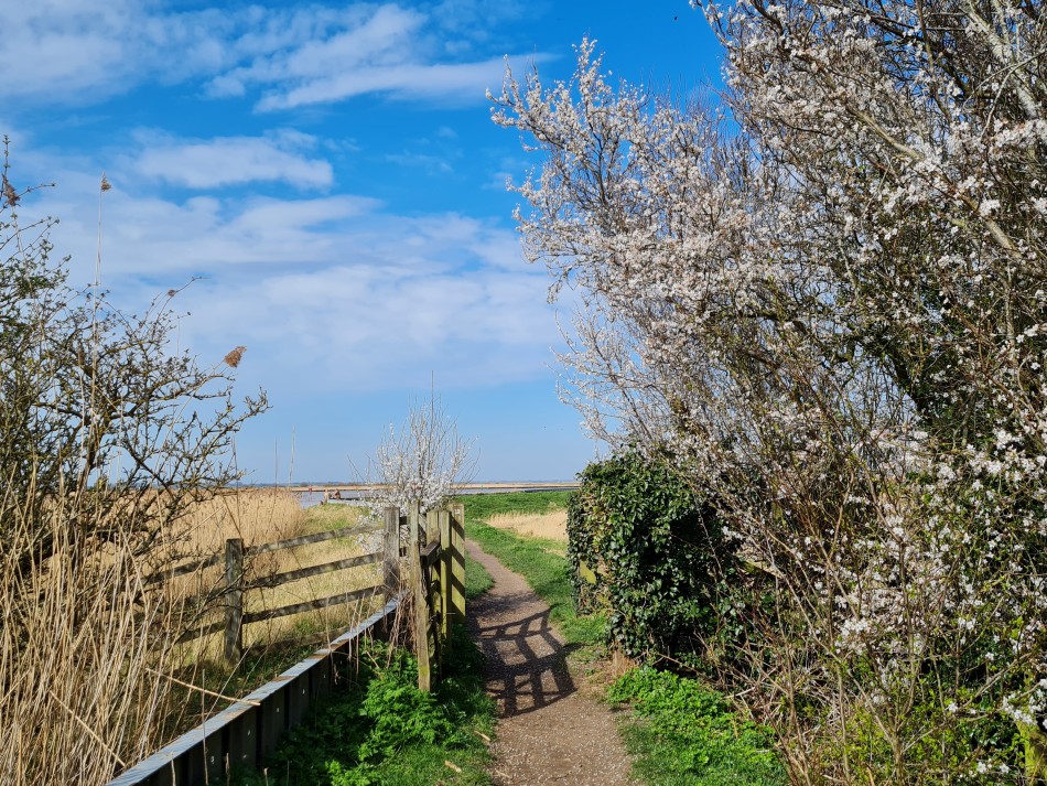 2015-06-28 12 Burgh Castle.jpg