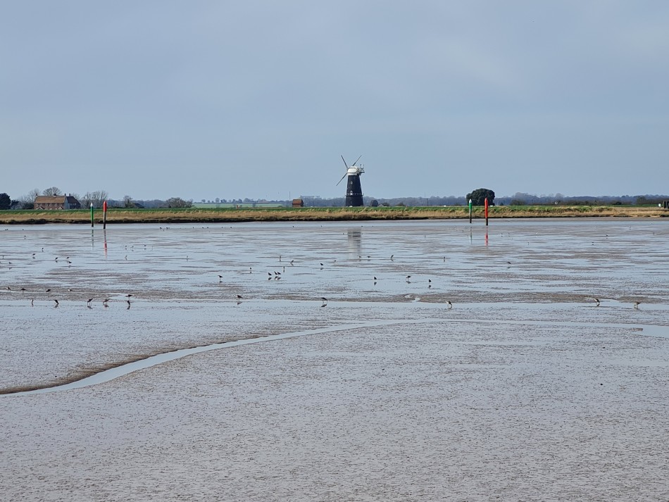 2015-06-28 13 Burgh Castle.jpg