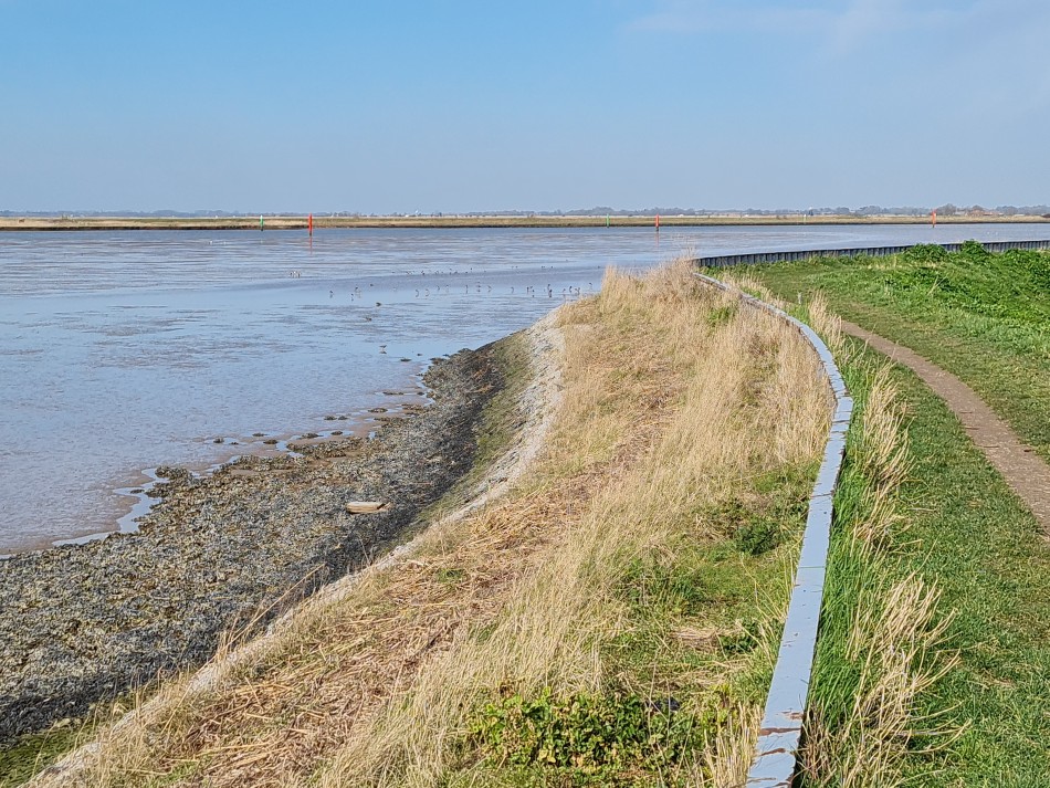 2015-06-28 14 Burgh Castle.jpg