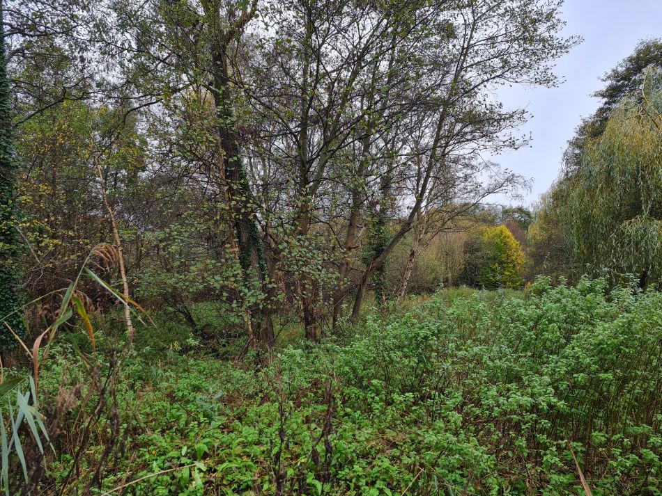 2022-11-17 04 Angles Way 27 - Belton.jpg