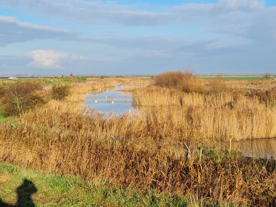 2022-12-01 06 Angles Way 28 - Breydon Water.jpg