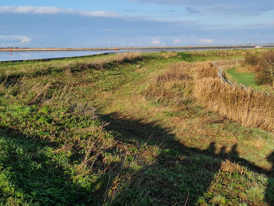 2022-12-01 07 Angles Way 28 - Breydon Water.jpg